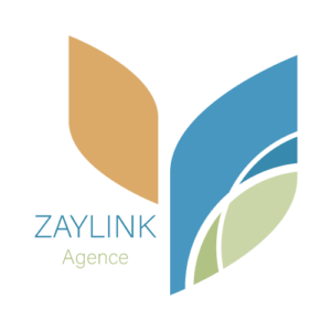 Zaylink Agence de marketing digitale Logo